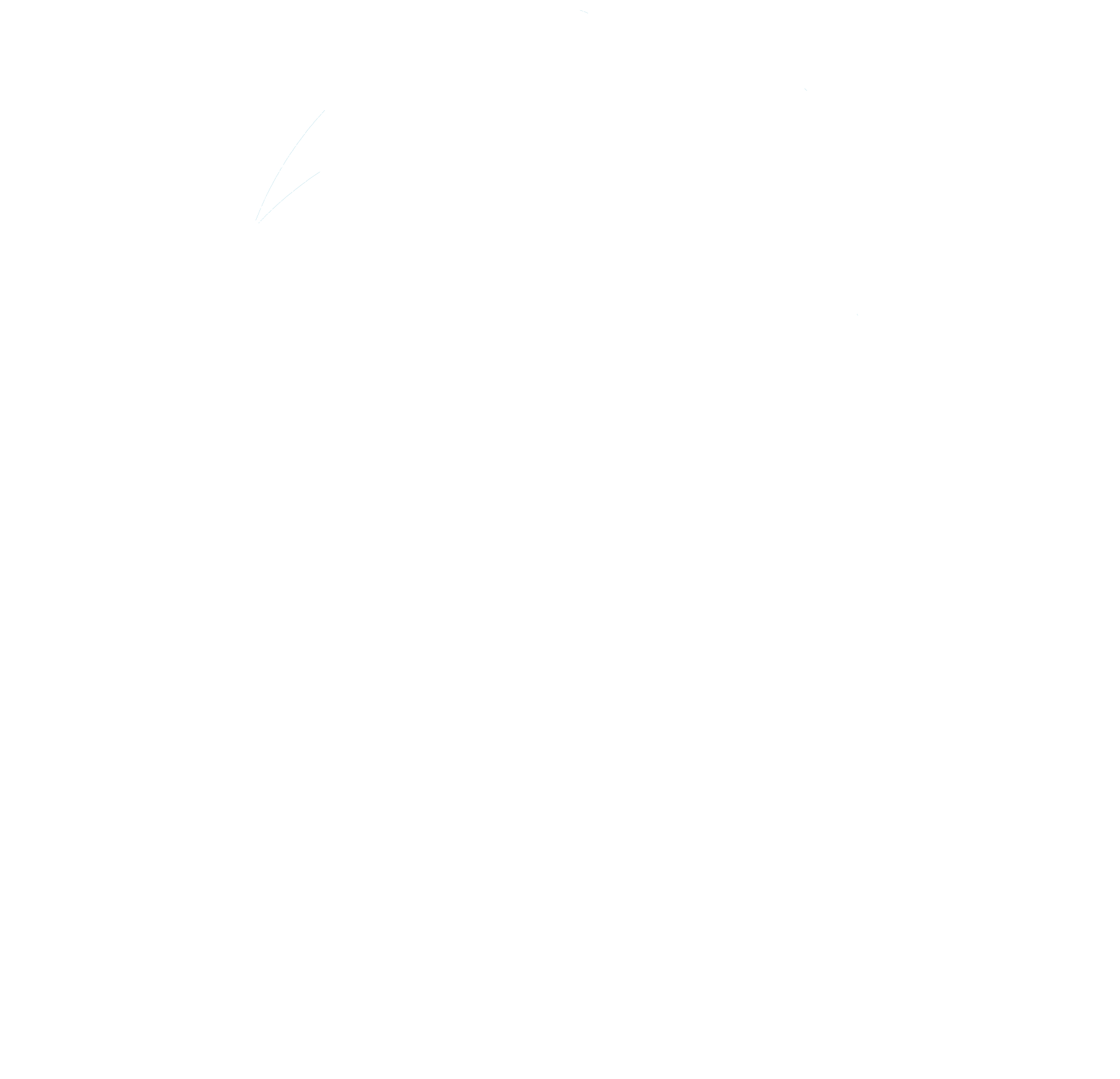MC Investments Holding